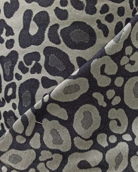Click &amp; Go Baby Print Full Buckle